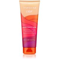 Inebrya Color Perfect Mask mask for colour protection 250 ml