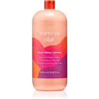 Inebrya Color Perfect Shampoo shampoo for colour protection 1000 ml