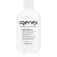 Inebrya Ogenex regenerating treatment for chemically treated hair 300 ml