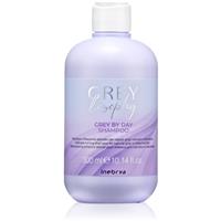 Inebrya Greylosophy Grey By Day Shampoo toning shampoo for grey hair 300 ml