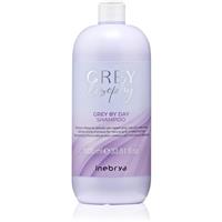 Inebrya Greylosophy Grey By Day Shampoo toning shampoo for grey hair 1000 ml