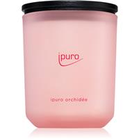 puro Classic Orchide scented candle 270 g