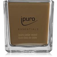 ipuro Essentials Cedar Wood scented candle 125 g
