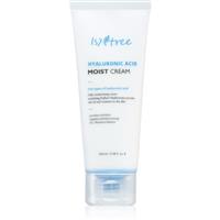 Isntree Hyaluronic Acid intense daily moisturiser 100 ml