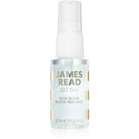 James Read Gradual Tan Rose Glow self-tanning mist for the face 30 ml
