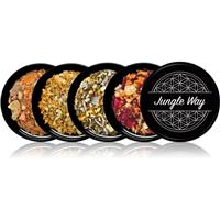 Jungle Way Discovery set Elevate Your Routine incense