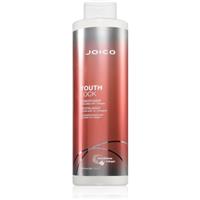 Joico YouthLock Conditioner conditioner for dry and brittle hair 1000 ml
