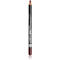 J.Cat Beauty Wholly Addiction contour lip pencil shade 224 Plum 1.76 g