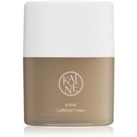 KAINE Caffetinal Cream deep moisturising cream with anti-ageing effect 50 ml