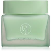 KAINE Green Calm Aqua Cream moisturising face cream with soothing effect 70 ml