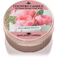 Country Candle Sugared Peony tealight candle 42 g