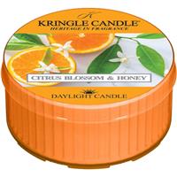 Kringle Candle Citrus Blossom & Honey tealight candle 42 g