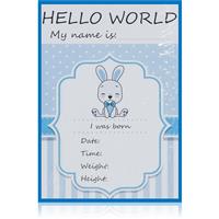 KidPro Milestone Cards Bunny For a Boy milestone cards 1 pc