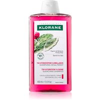 Klorane Prickly Pear intensely hydrating shampoo 400 ml