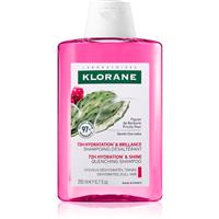 Klorane Prickly Pear intensely hydrating shampoo 200 ml