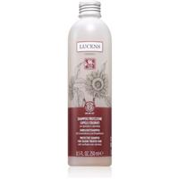 Kemon Group Shampoo Protezione shampoo for colour protection 250 ml