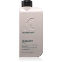 Kevin Murphy Blow.Dry Wash nourishing shampoo for brittle and stressed hair 250 ml