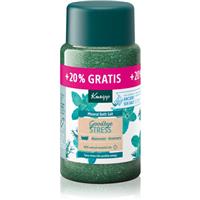 Kneipp Goodbye Stress bath salts Watermint & Rosemary 600 g