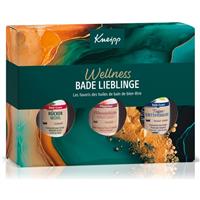 Kneipp Wellness Bath Oil Collection gift set for the bath