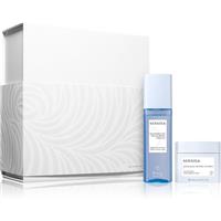 KERASILK Specialists The Recovery Set gift set with regenerative effect