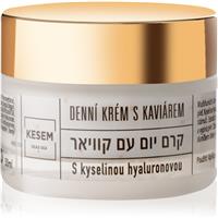 KESEM Day Cream with Caviar and Hyaluronic Acid day cream with hyaluronic acid 50 ml