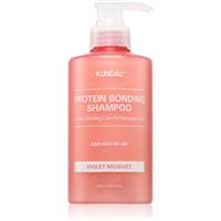 KUNDAL Protein Bonding Care Shampoo nourishing shampoo for dry and damaged hair with aroma Violet Muguet 500 ml