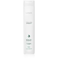 L'anza Healing Strength White Tea Shampoo shampoo for damaged and fragile hair 300 ml
