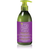 Little Green Kids 2-in-1 shampoo and shower gel for children 240 ml