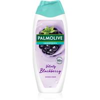 Palmolive Smoothies Blackberry gentle shower gel 500 ml