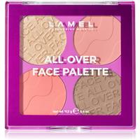 LAMEL All-Over Face Palette palette for the entire face shade 01 11.5 g