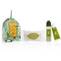 LOccitane Verbena Holiday Ornament gift set for the body
