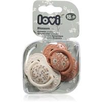 LOVI BLOSSOM 18m+ dummy Girl 2 pc