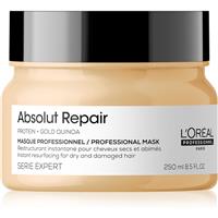 LOral Professionnel Serie Expert Absolut Repair deeply regenerating mask for dry and damaged hair 250 ml