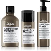 LOral Professionnel Serie Expert Absolut Repair Molecular economy pack for damaged hair
