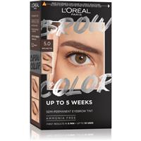 LOral Paris Brow Color brow colour shade 5.0 Brunette 1 pc