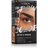 LOral Paris Brow Color brow colour shade 1.0 Black 1 pc