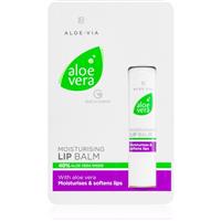 LR Aloe Vera moisturising lip balm with aloe vera 4,8 g