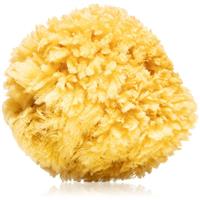 Magnum Natural Caribbean sea sponge 14- 16 cm