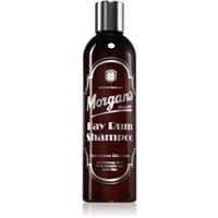 Morgan's Bay Rum Shampoo shampoo for hair for men 250 ml