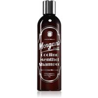 Morgan's Cooling Menthol Shampoo invigorating mint shampoo for hair and scalp for men 250 ml