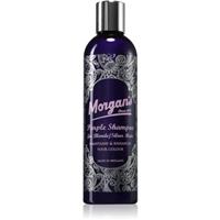 Morgan's Shampoo for Silver/Blonde Hair purple shampoo for blonde hair 250 ml