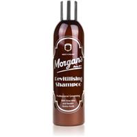 Morgan's Revitilising Shampoo intensive nourishing shampoo 250 ml