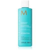 Moroccanoil Hydration Shampoo moisturising shampoo with argan oil 250 ml