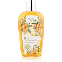 Bohemia Gifts & Cosmetics Bohemia Herbs Argan Oil hair shampoo 250 ml