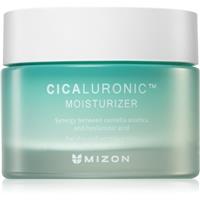Mizon Cicaluronic nourishing and moisturising cream for very dry and sensitive skin 50 ml