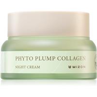 Mizon Phyto Plump Collagen moisturising anti-wrinkle night cream with soothing effect 50 ml