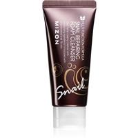 Mizon Multi Function Formula Snail foam cleanser 60 ml