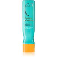 Malibu C Color Wellness moisturising conditioner for colour-treated hair 266 ml