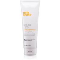 milk_shake Natural Care Active Yogurt active yogurt mask for hair 250 ml