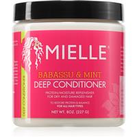 Mielle Babassu & Mint moisturising conditioner 227 g